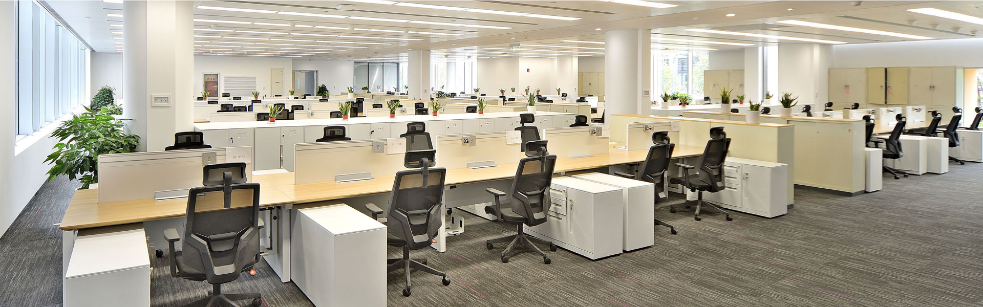 圣奥办公家具为东方航空设计高效职员办公空间实拍图
