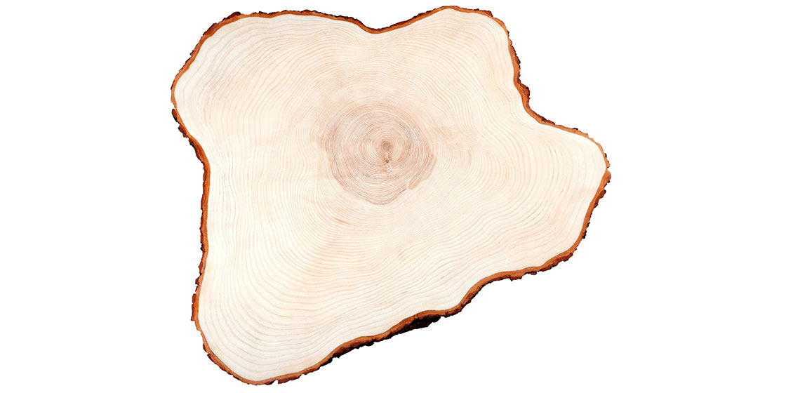 圣奥选用环保木材切面图