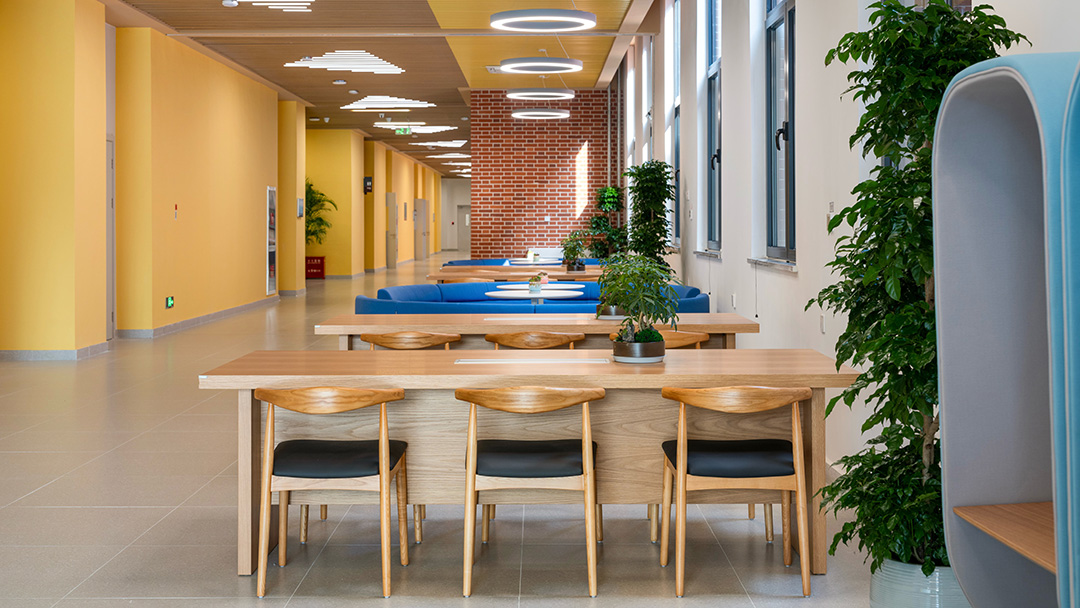 圣奥为中国科学院大学雁栖湖校区设计的阅览空间实拍图 圣奥为中国科学院大学雁栖湖校区设计的阅览空间实拍图